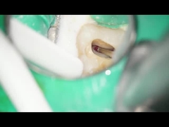 Οδοντική οδοντική χρήση Burs καρβιδίου βολφραμίου RA Burs αργόστροφη